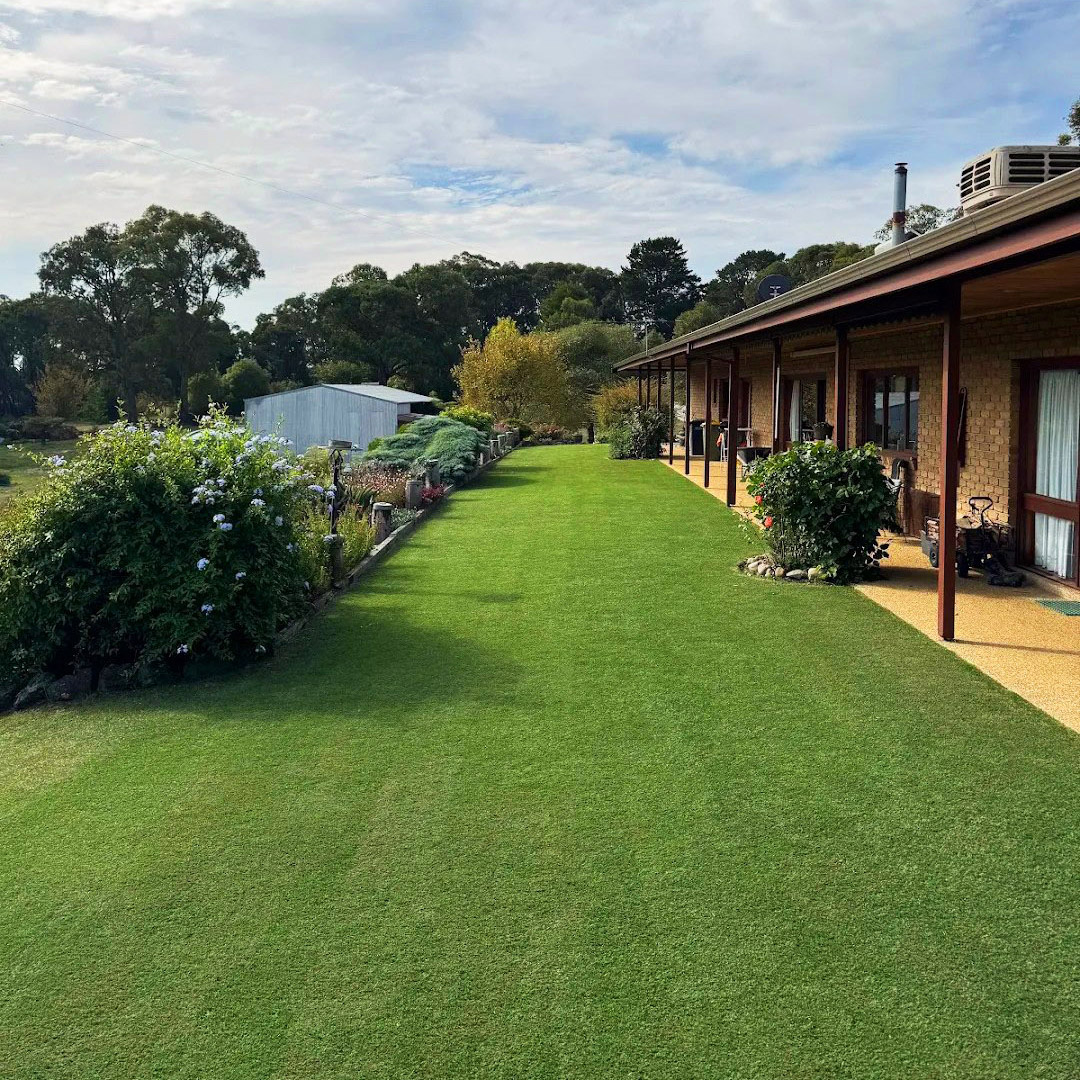 Turf Gallery